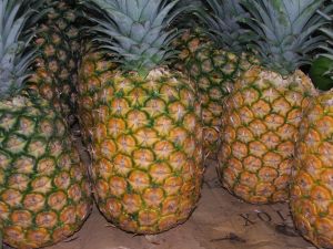 Costa Rican Pineapple